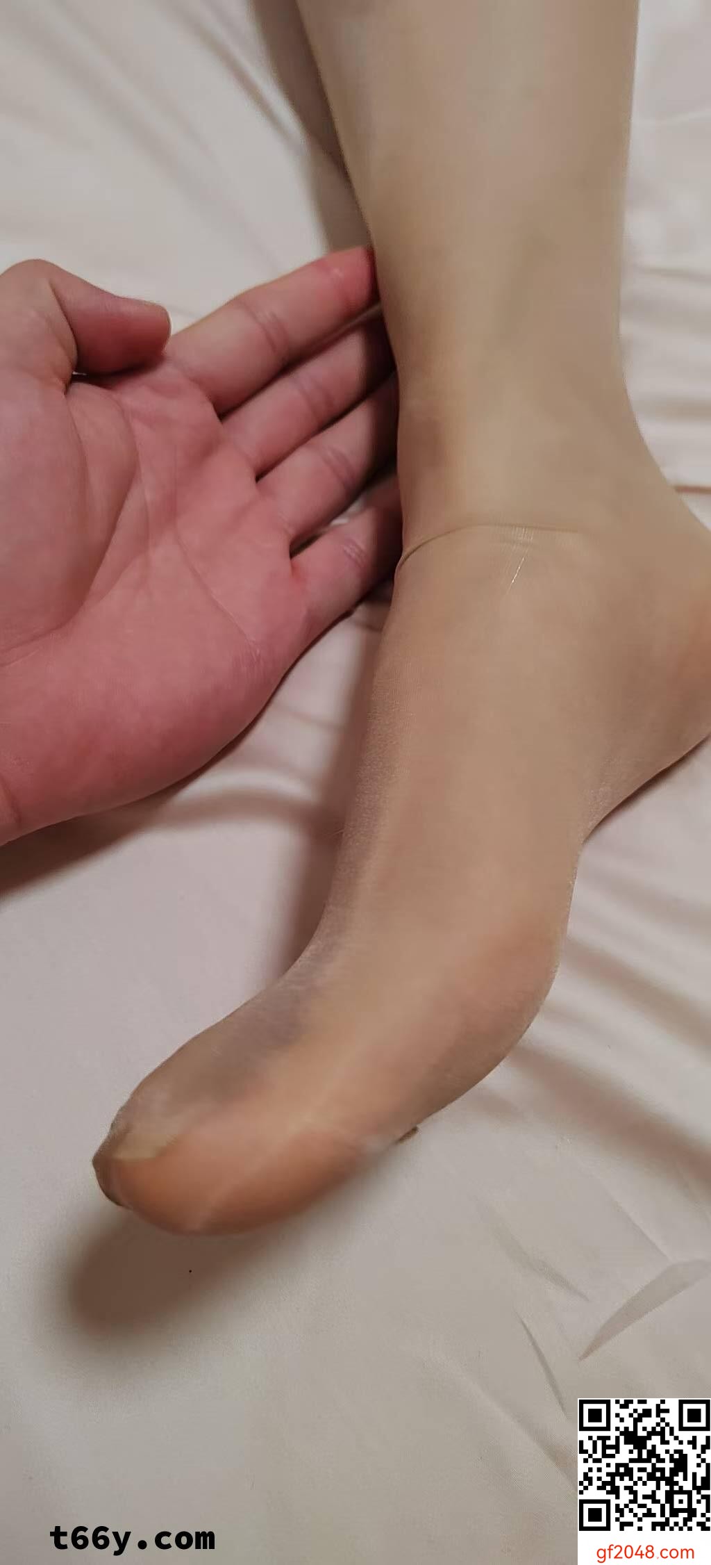 [原创]京津冀你大哥和你大嫂子第四贴，涞觅肉丝，致敬丝之魅silkmodel[20P+2v]